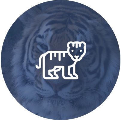 Mammals