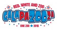 Thank You Gala 2018 Sponsors!
