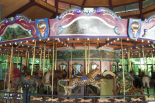 Opening Day March 1st, 2019