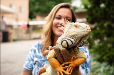 Go Erie Street View: GalapaZooza