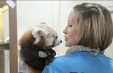 Go Erie Photos: Long-time Female Employees at the Erie Zoo