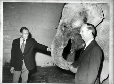 Photos: The Erie Zoo in the 1960s