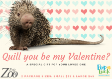Quill you be my Valentine?
