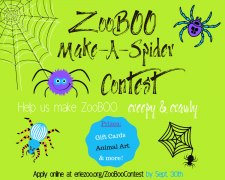 ZooBoo Contest 2020