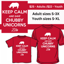 Save the Chubby Unicorn PRE-SALE